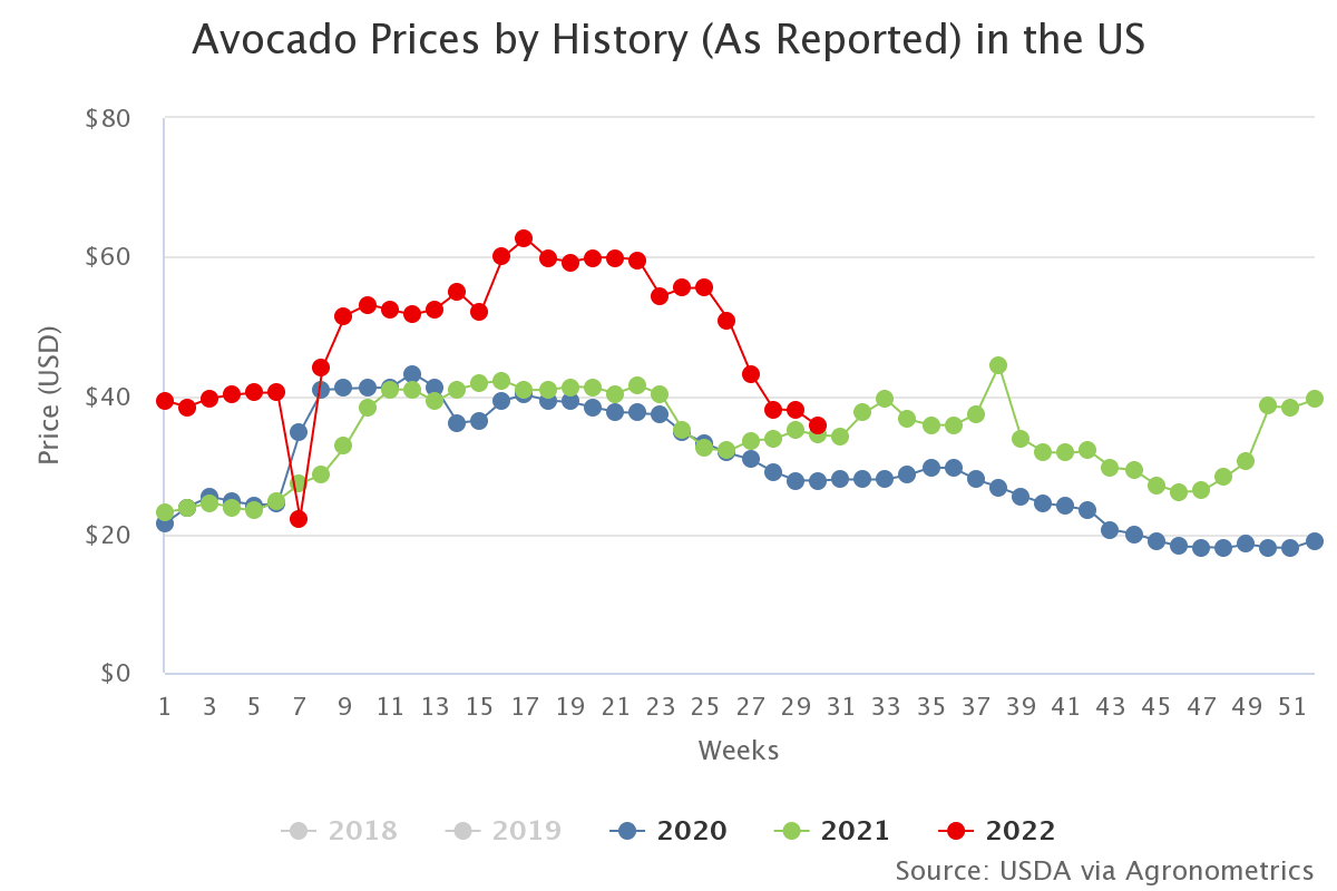 avocado prices by histor 21